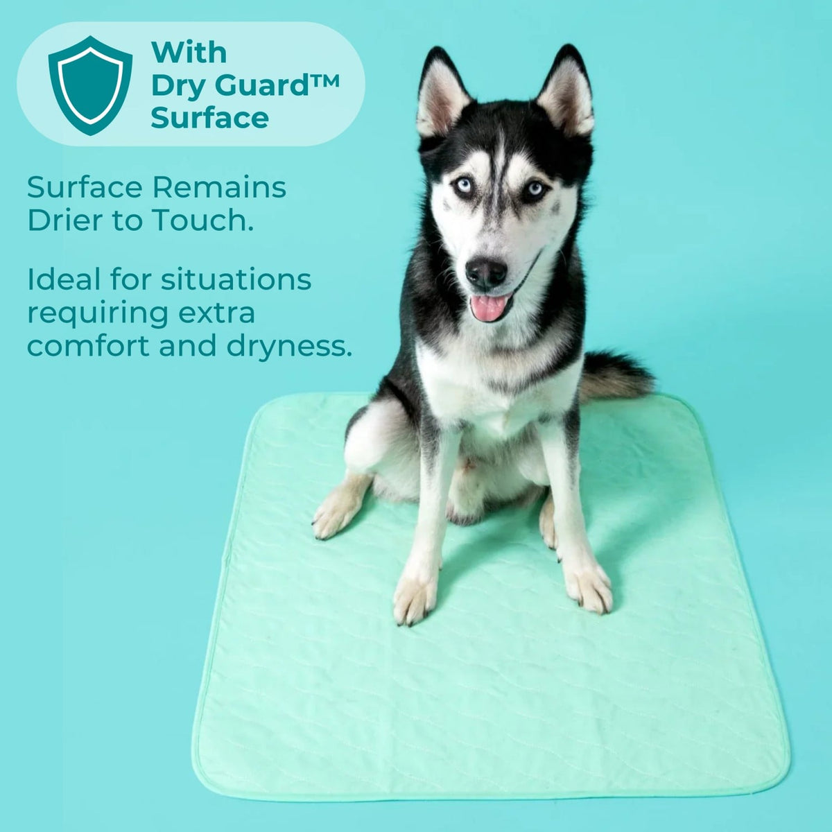 Potty Buddy™ - The Durable Leak-Free Potty Pad