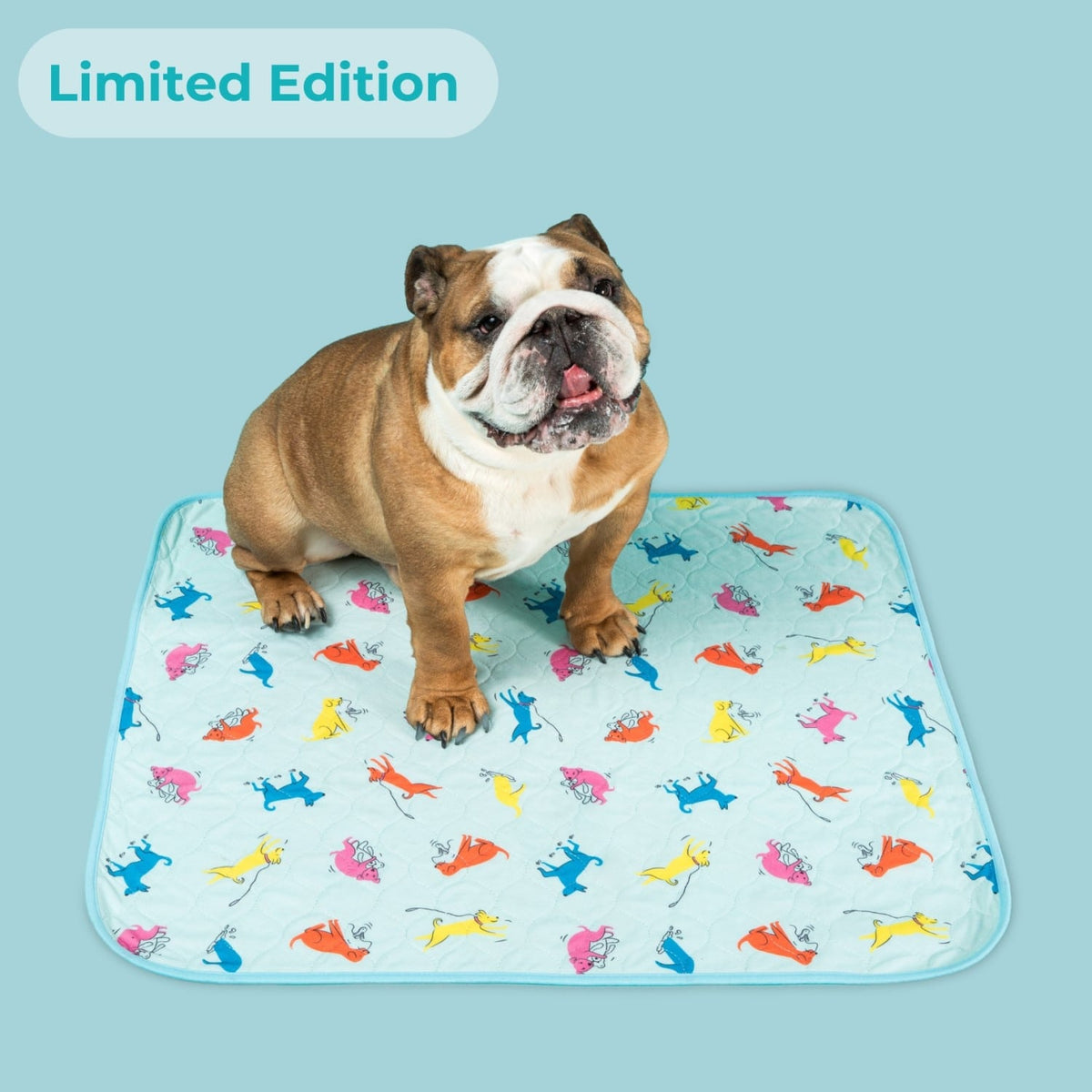 Potty Buddy™ - The Durable Leak-Free Potty Pad