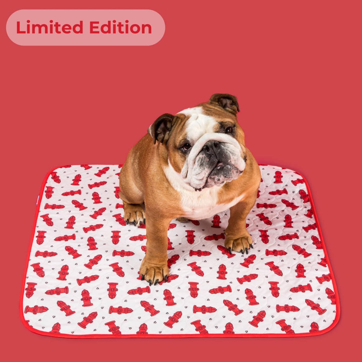 Potty Buddy™ - The Durable Leak-Free Potty Pad