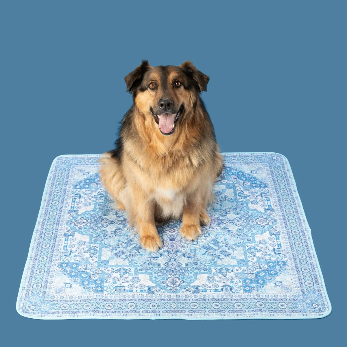 Potty Buddy™ - The Durable Leak-Free Potty Pad