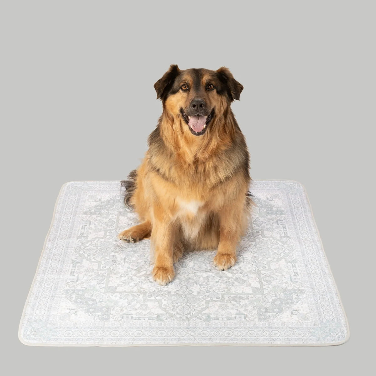 Potty Buddy™ - The Durable Leak-Free Potty Pad