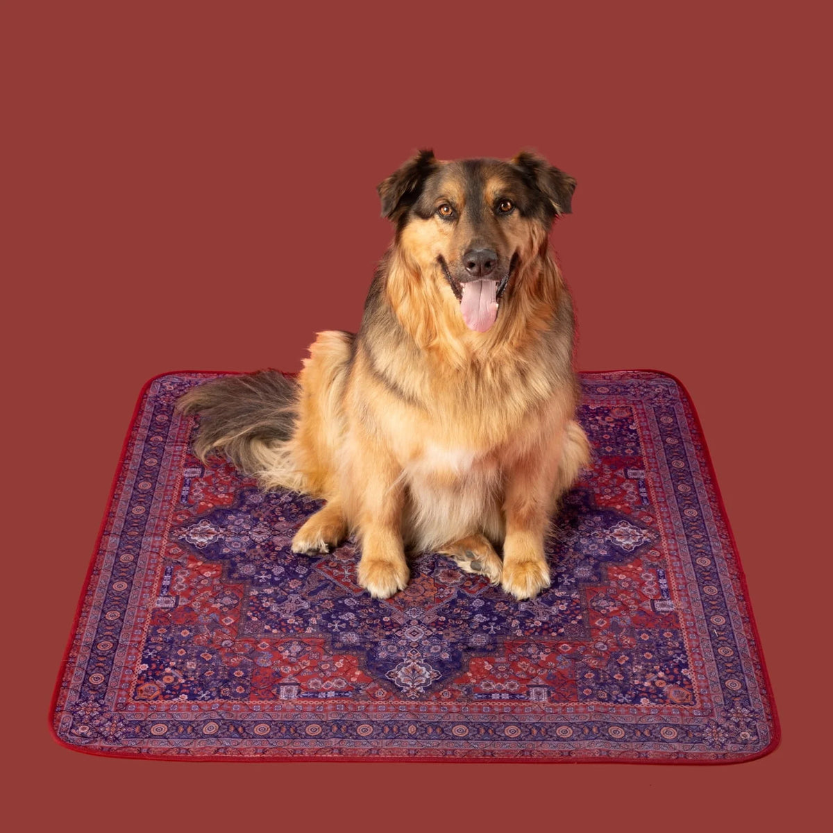 Potty Buddy™ - The Durable Leak-Free Potty Pad