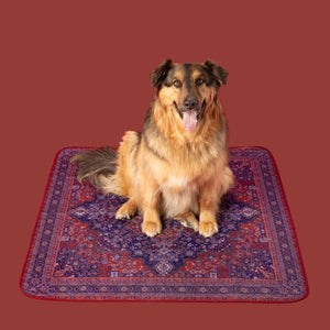 Potty Buddy™ - The Durable Leak-Free Potty Pad