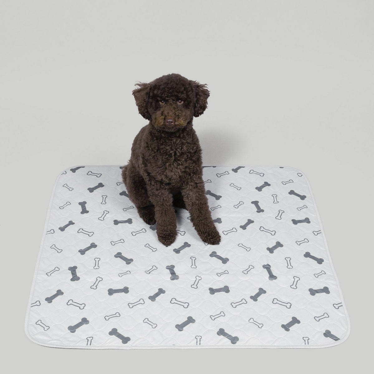 Potty Buddy™ - The Durable Leak-Free Potty Pad