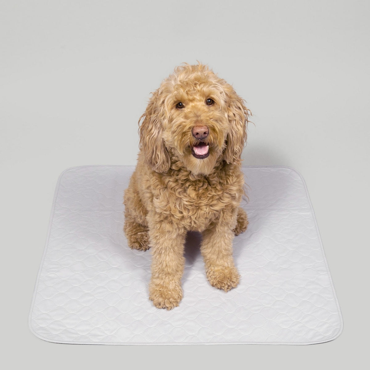 Potty Buddy™ - The Durable Leak-Free Potty Pad