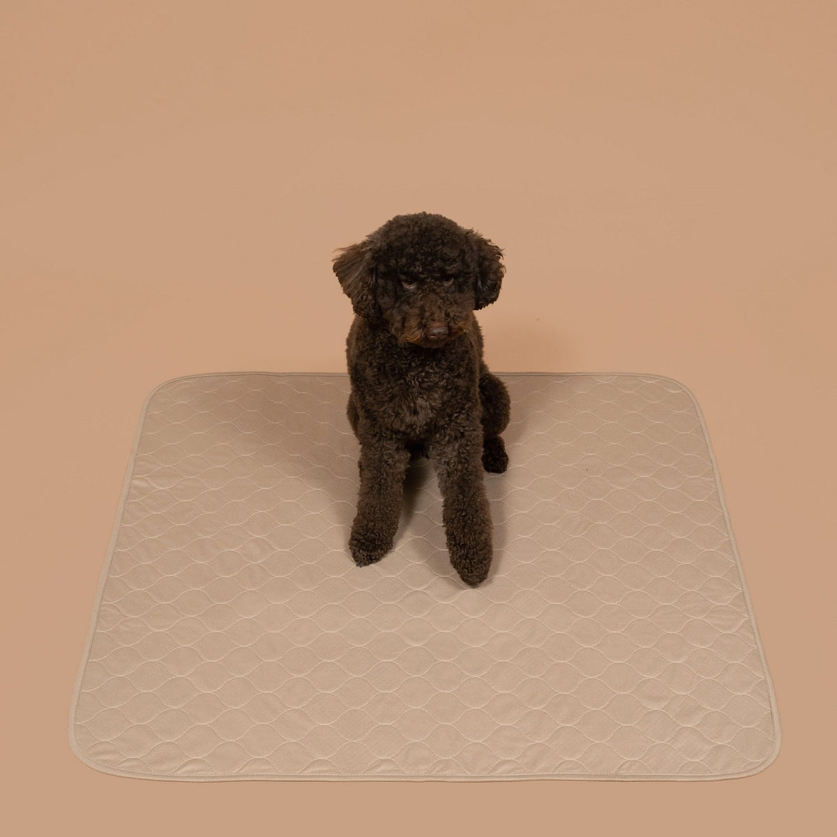 Potty Buddy™ - The Durable Leak-Free Potty Pad